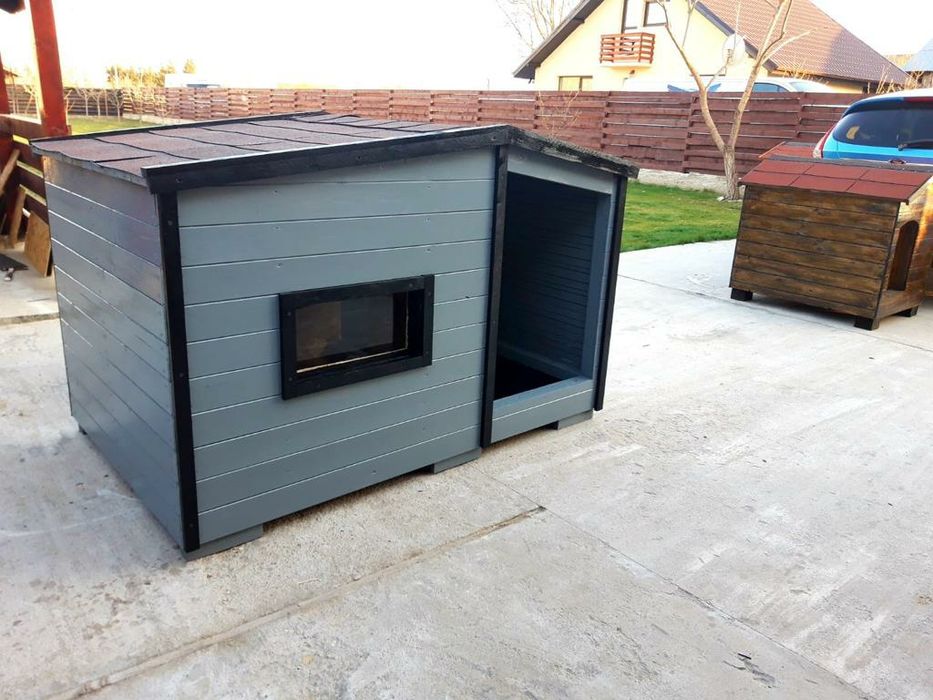 Cusca de caine complet izolata