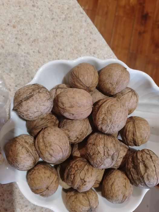 Продам грецкие орехи.