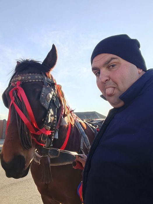 Putere și basi de 15