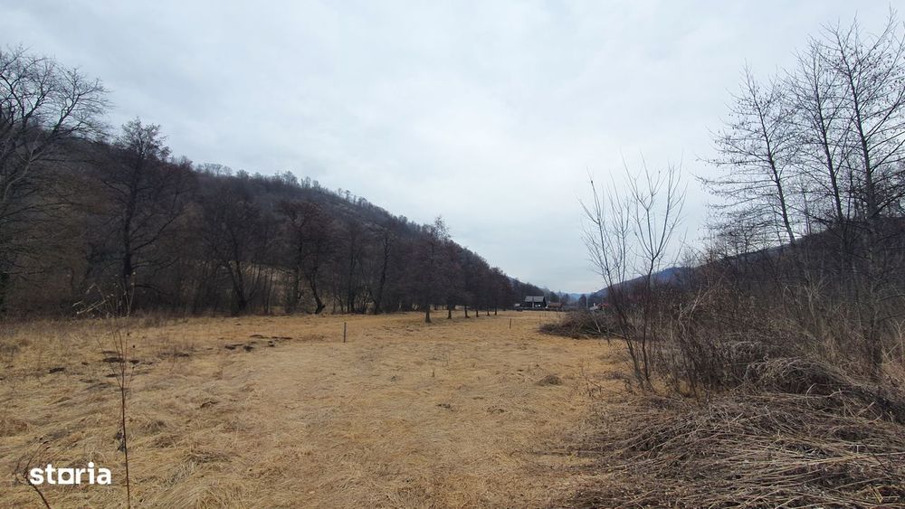 Teren Stana de Vale Sovata - Telek Patakmajor
