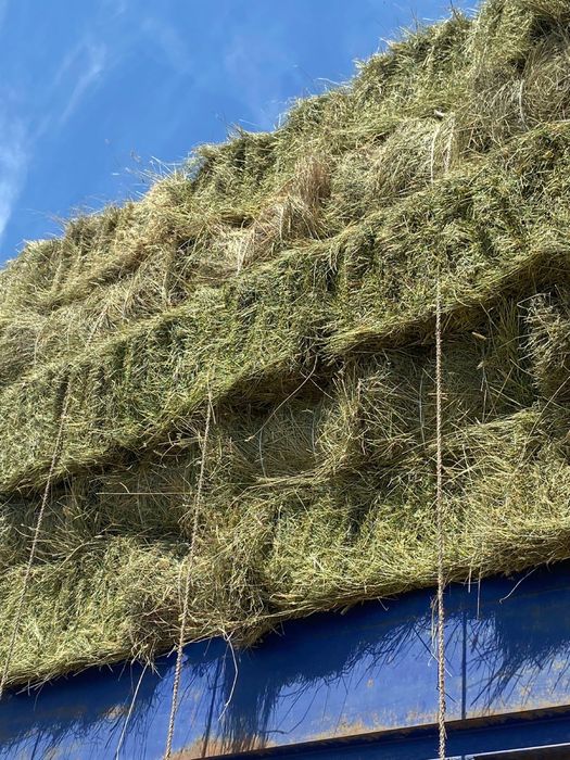 Сено житняк разнотравье