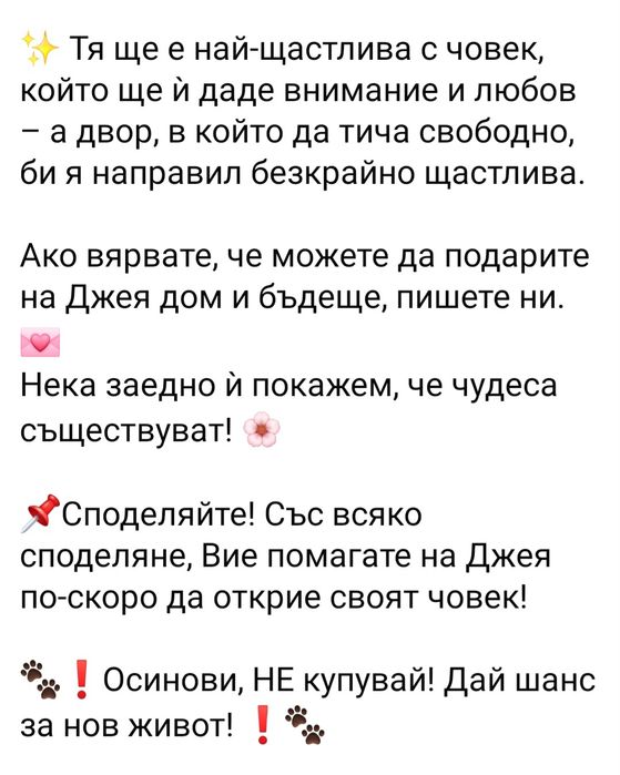 Подарява се Джея