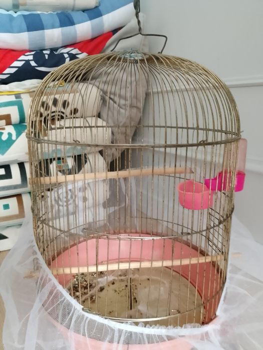 Клетка для попугаев