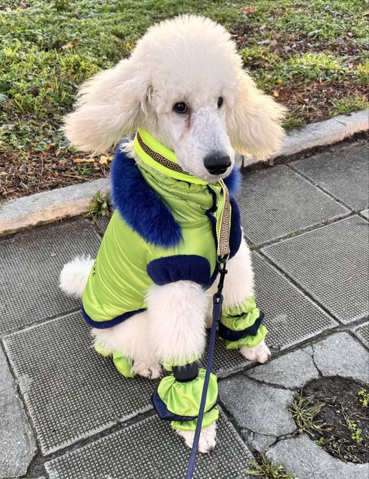 Топло яке за куче