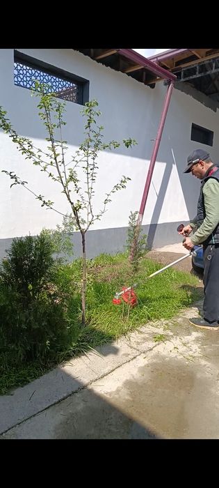 Gazon газон газонкасилшик