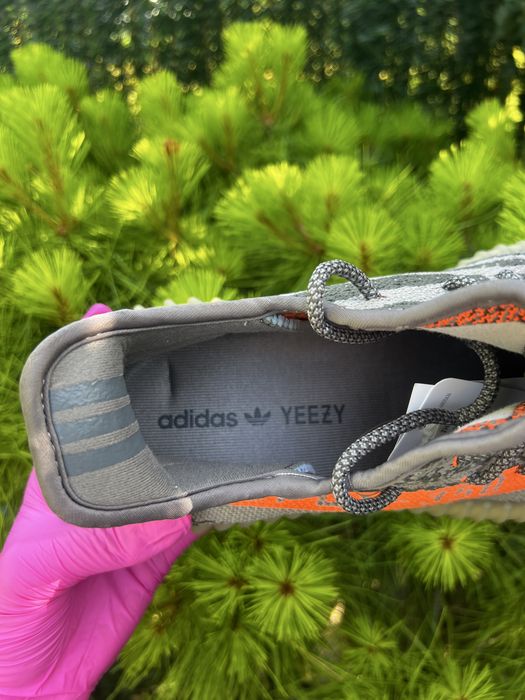 Yeezy 350 Beluga