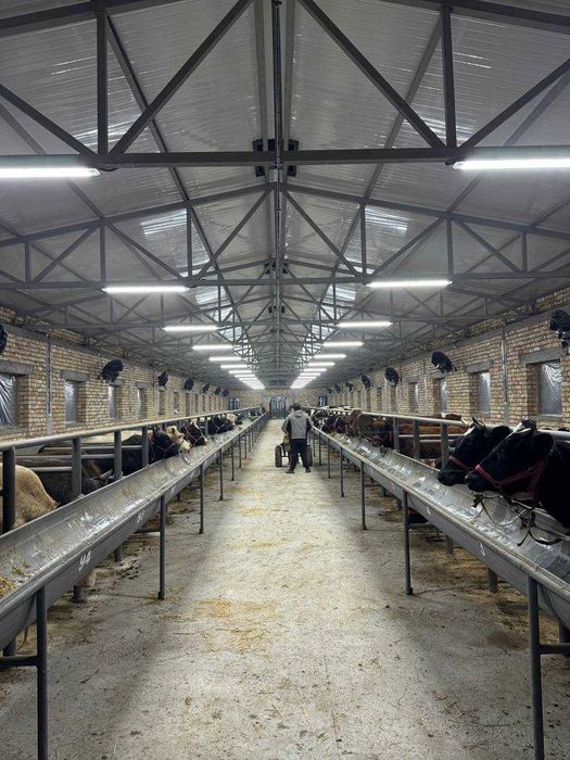 Продаётся Ферма 40 соток Зангиота Буз Сув - Кафе Ором