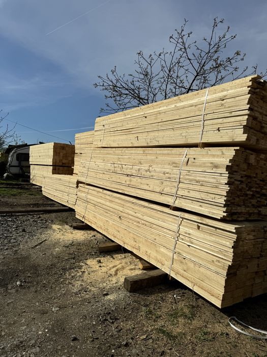 Cherestea rasinoasa si Lambriu