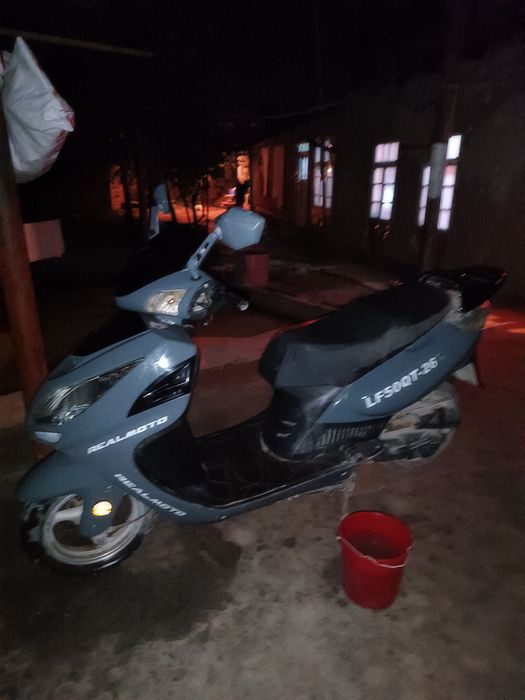 Motatsikil holati alo darajada