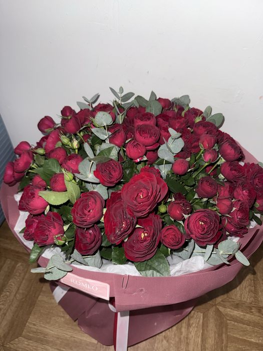 продам цветы свежие
