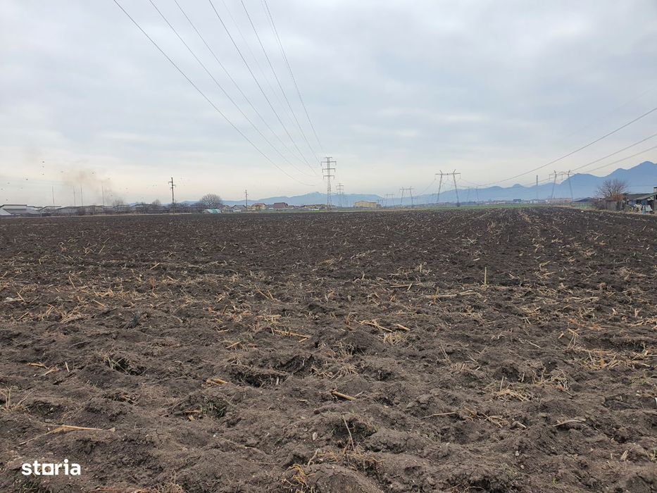 Teren Sanpetru zona de case pretabil investitie