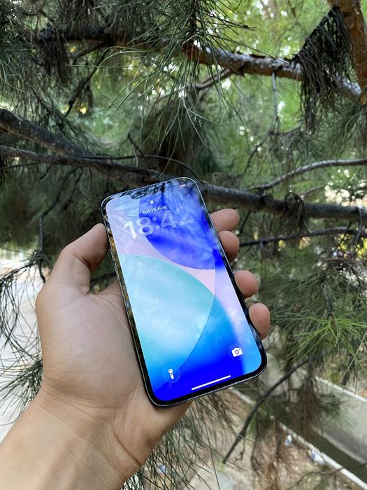 Iphone 13 pro                  .
