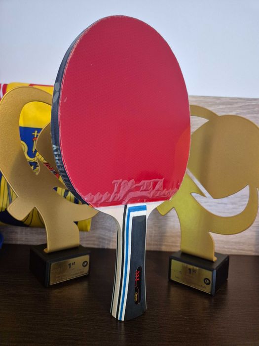 Paletă chinezeasca profi XVT EFECT Max de atac