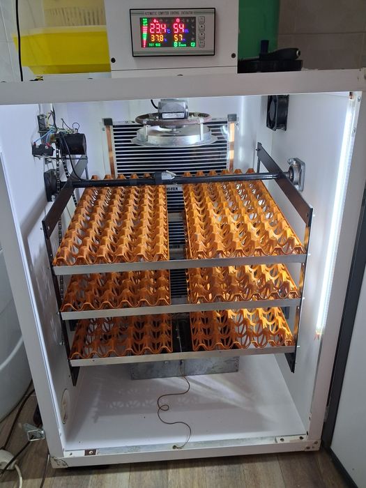 Incubator profesional 360 oua