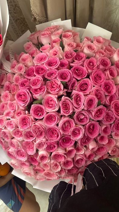 Розы свежие 151 роз