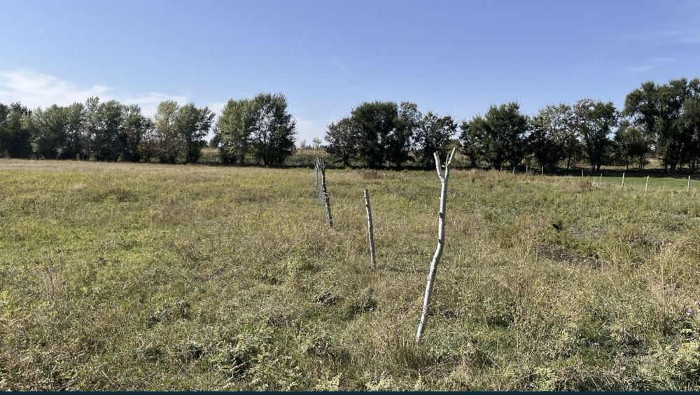 Продам участок в селе Алмалы ( Иссык )