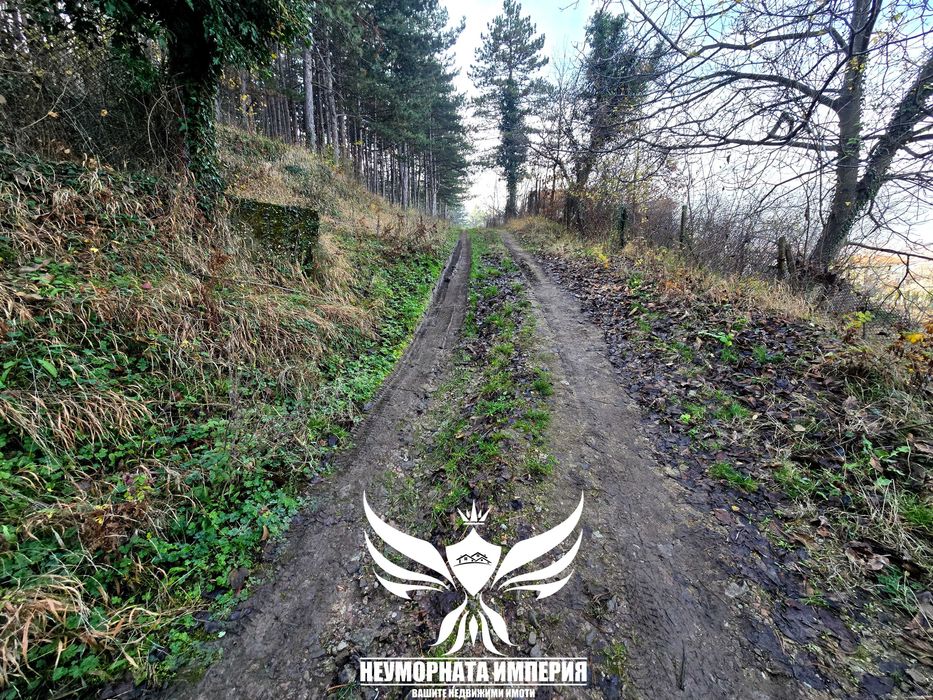 Продава се Парцел в с. Тополово, Област Пловдив - 1280 кв.м за 22 €/кв.м - Снимка #14