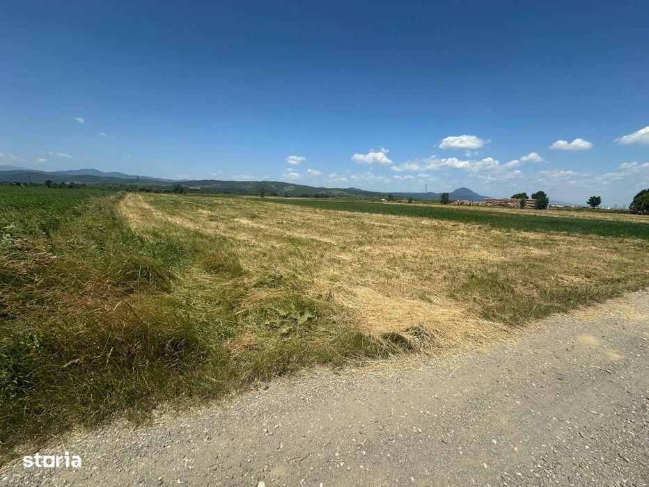 Teren 5000 mp Glajerie, zona Rasnov
