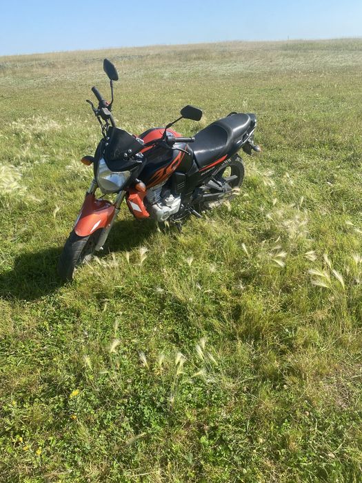 Продам рейсер нитро 250