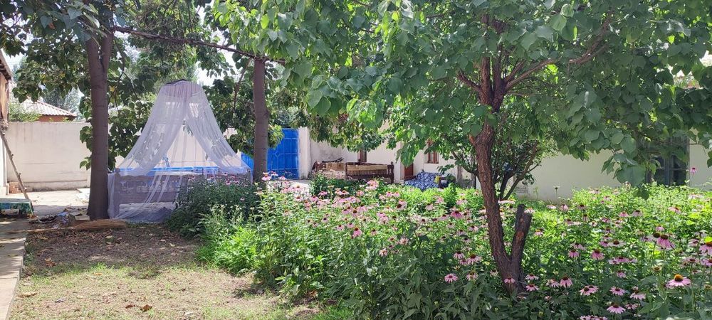 Продажа дачного участка возле парка Янги Узбекистан, Янги базор