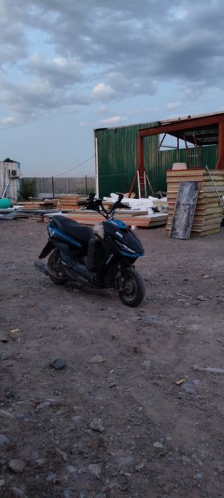 Pedo Gts sport italia