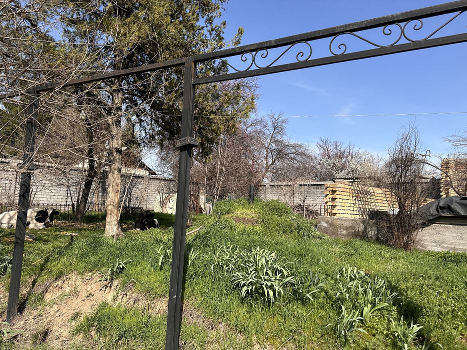 Участок 8 соток, Зангиатинская платина - где ГЭС 1