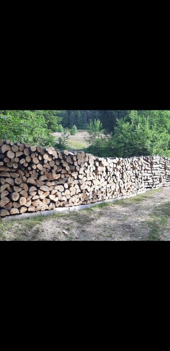 Lemne de fag uscate sau verzi