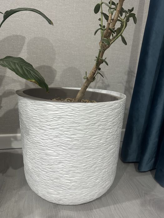 Посуда для цветка