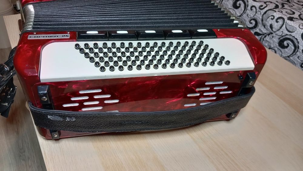 Acordeon DELICIA carmen 24 cu 96 basi