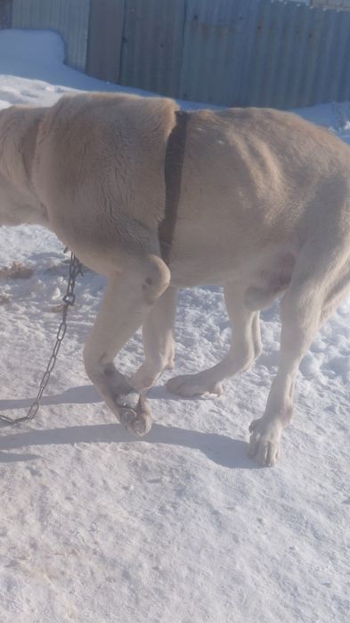 Продам срочно!!!