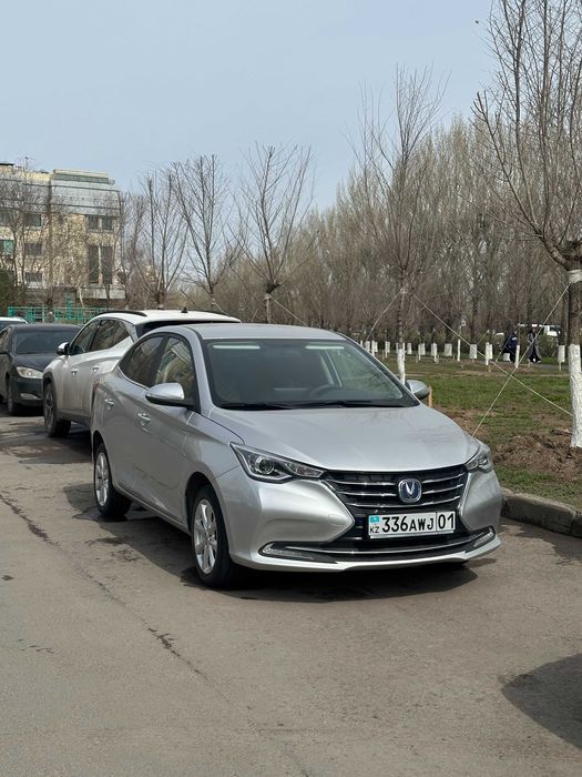 Аренда авто цены от 8к