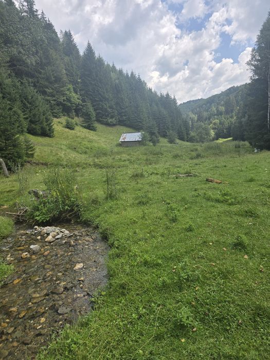 Teren linistit 4 hectare,  Șirnea,  Fundata cu râu pe 2 laterale