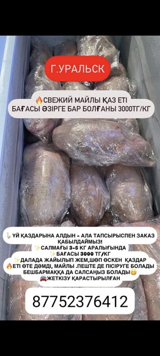 Қаз ( Гусь ) еті сатылады