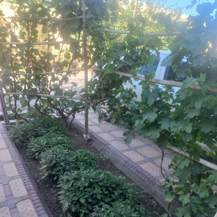 Уй сотилади намунавий жой хумо туйхона ёни