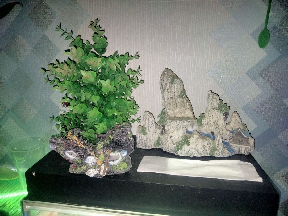 Продам декор все коплект 7000тг