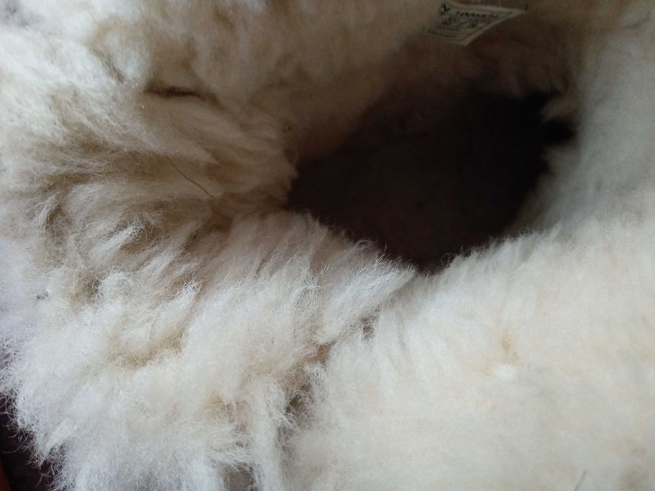 Ghete UGG originale