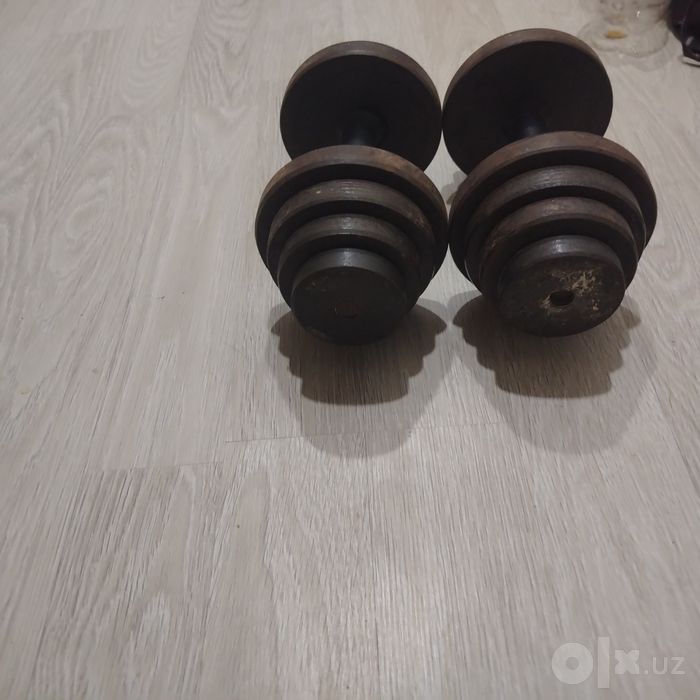 Гантел 12,5 кг 2х