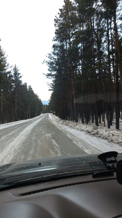 В живописном месте пос. Санаторий Щучинский