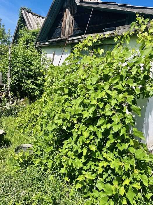 Продам дачу Здоровье
