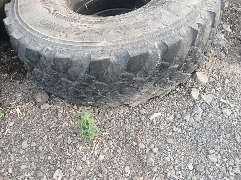Продам шины на Камаз