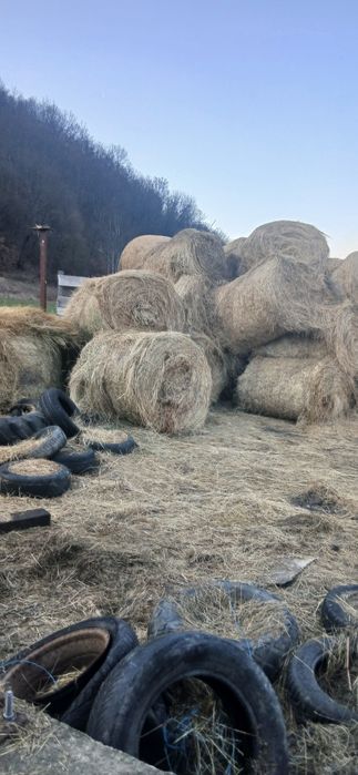 Vând baloti de fân