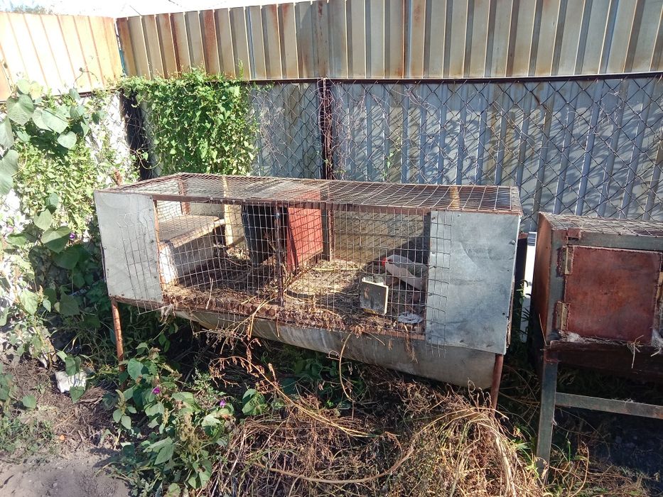 Продам клетку для кроликов