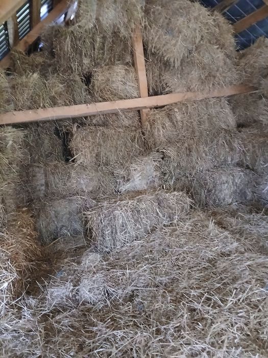 De vânzare baloți  paie ovăz și făn
