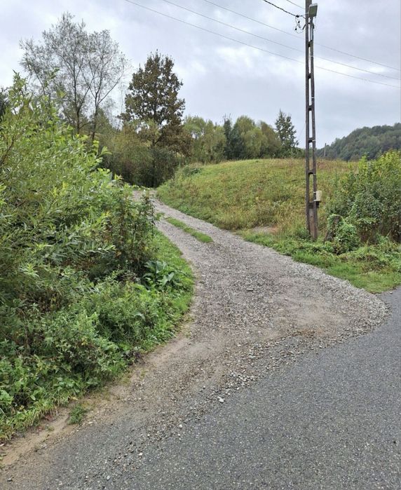 Vand teren intravilan, Valea Neagra, Bistra - Vedere 4