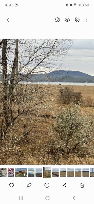 участок в Зеренде