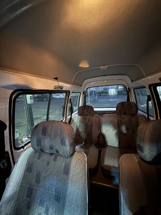 Damas 2 oq rangli 2024