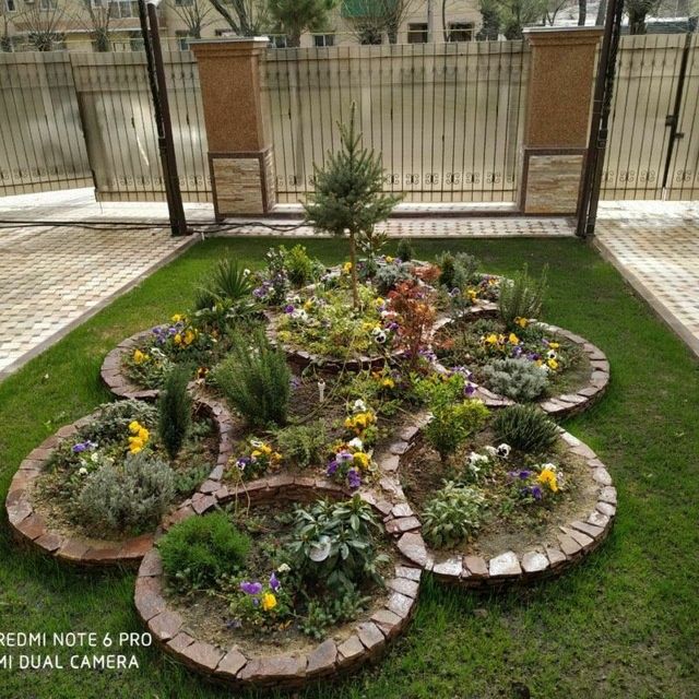 ландшафт дизайн. gazon daraxt gul ekamiz