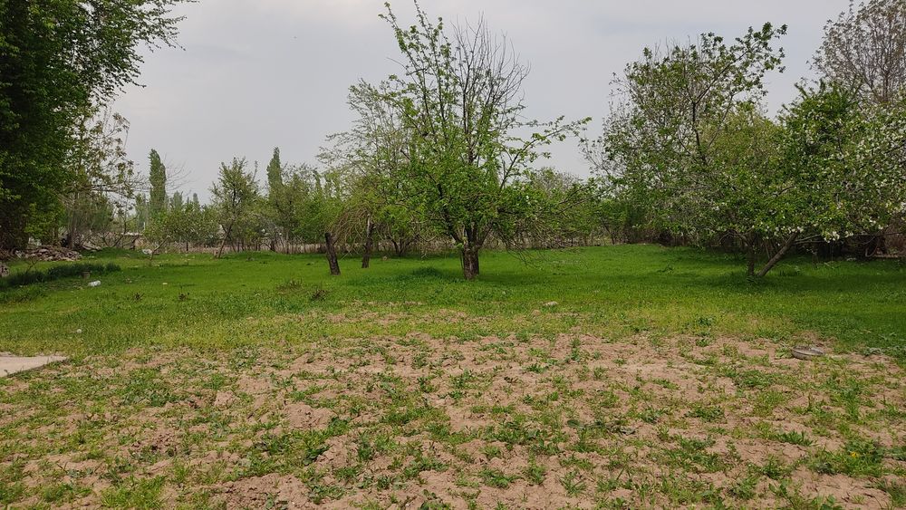 Бустонлик туман Янгиовул махалласида ховли сотилади.