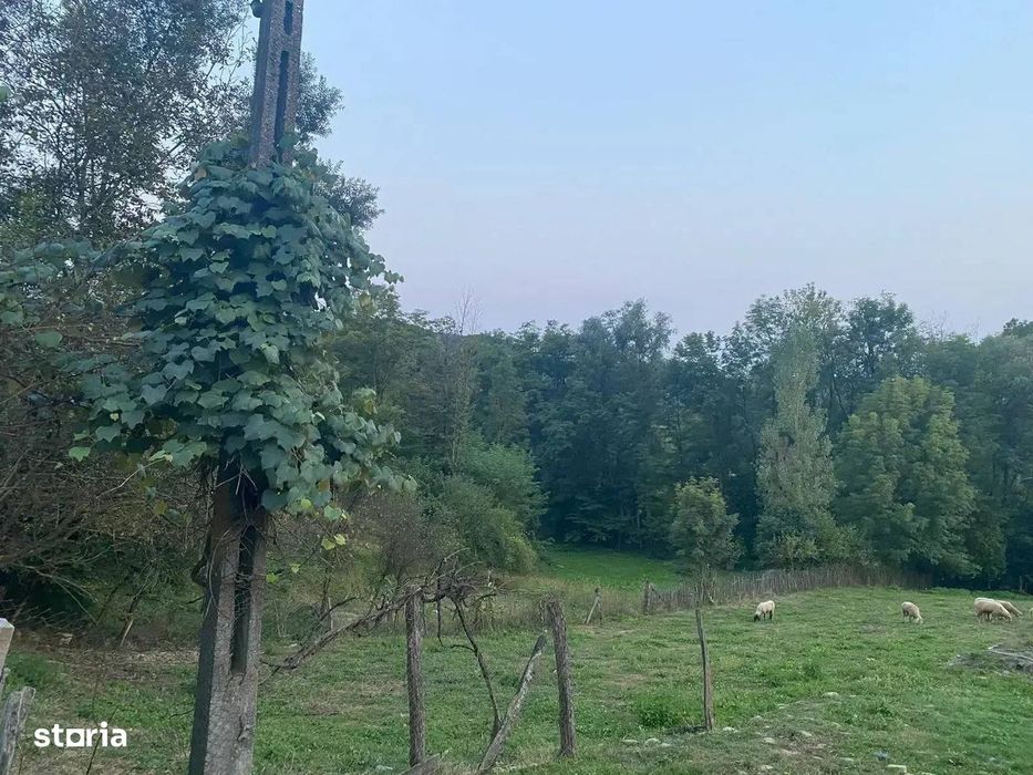 Teren De Vanzare 1.688 Mp| Sultanu | Visinesti | Dealurile Sultanului