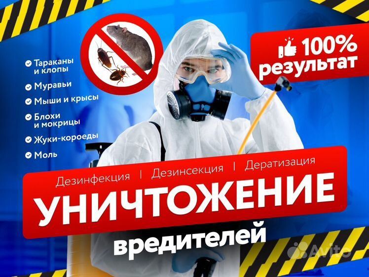 Дезинфекция обработка уничтожение крыс постельные клопы тараканы